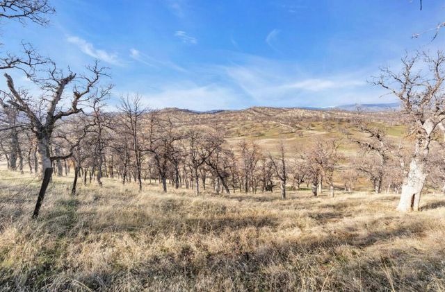 Fiddlers Road, Igo, CA 96047