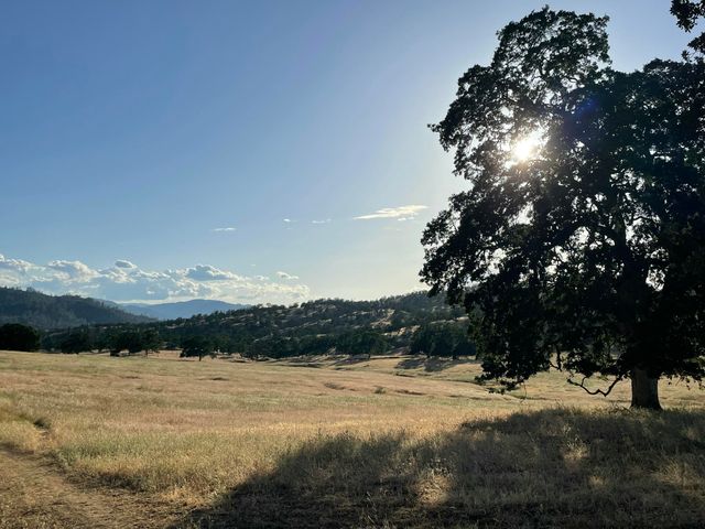 Fiddlers Road, Igo, CA 96047