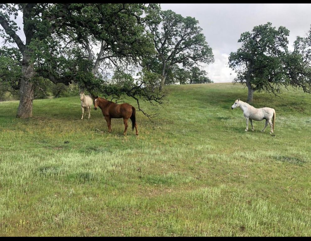 Fiddlers Road, Igo, CA 96047