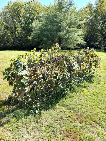 212 S Loop Drive, Stanford, KY 40484