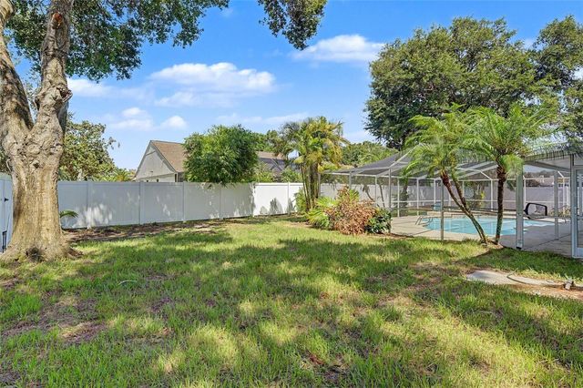 15602 INDIAN QUEEN DRIVE, Odessa, FL 33556