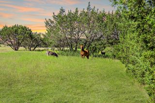 3656 Fm 2657, Copperas Cove, TX 76539