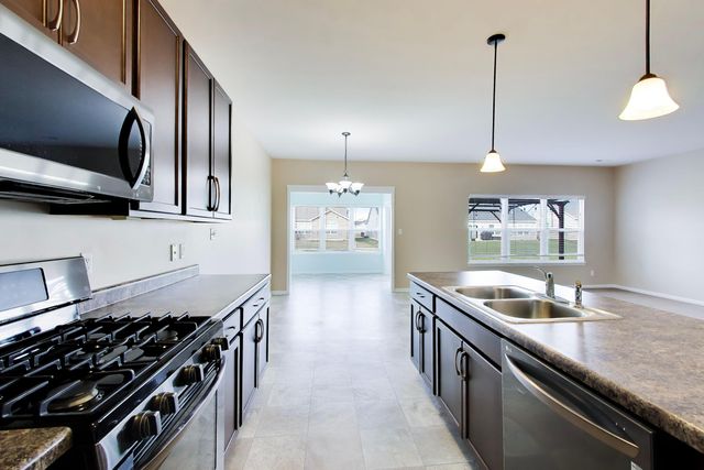 10204 Robinson Court, Dyer, IN 46311