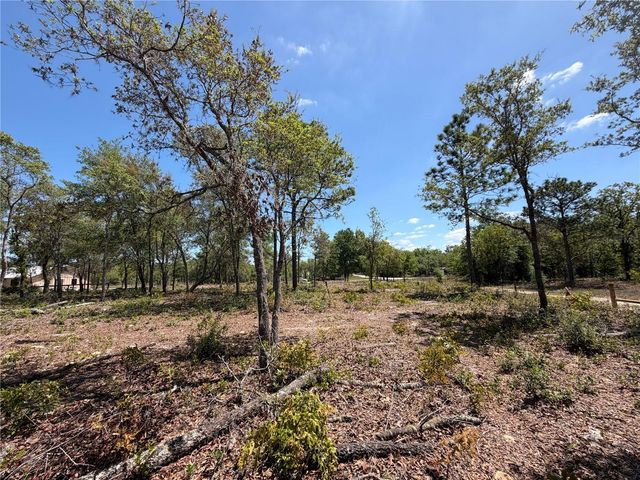 TBD SW 169TH COURT 18, Ocala, FL 34481