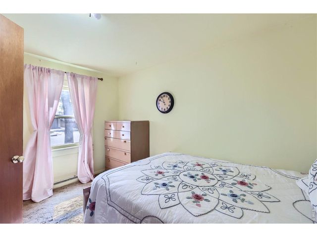 3833 Lincoln Ave, Wellington, CO 80549