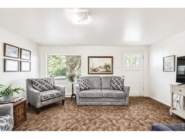 3833 Lincoln Ave, Wellington, CO 80549
