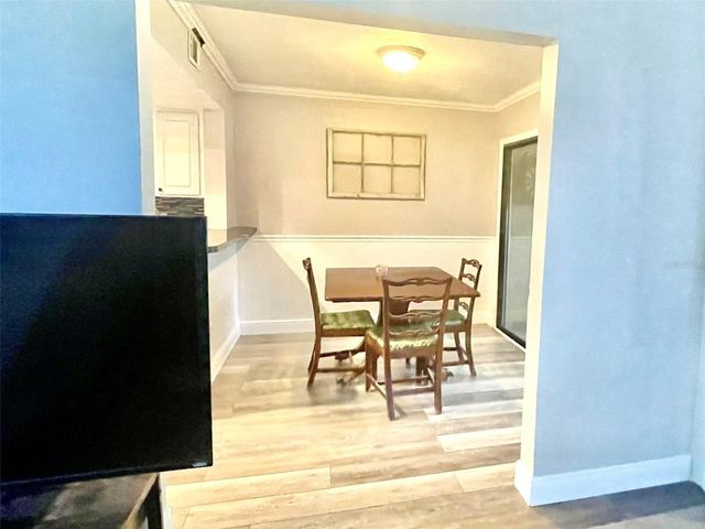 13001 ARBORVIEW PLACE, Tampa, FL 33618