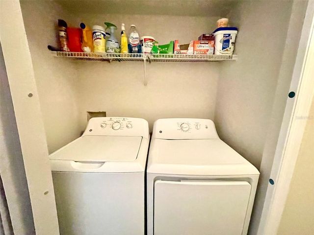 13001 ARBORVIEW PLACE, Tampa, FL 33618
