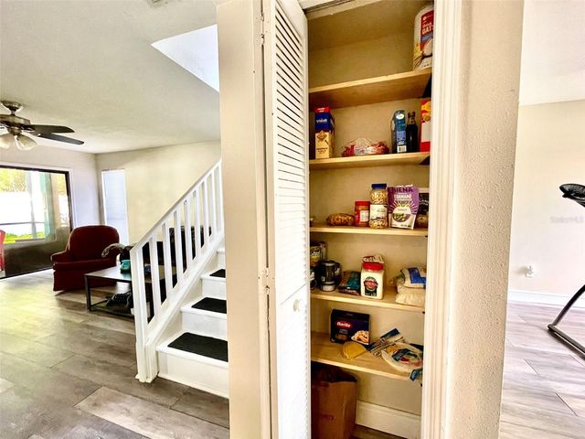 13001 ARBORVIEW PLACE, Tampa, FL 33618