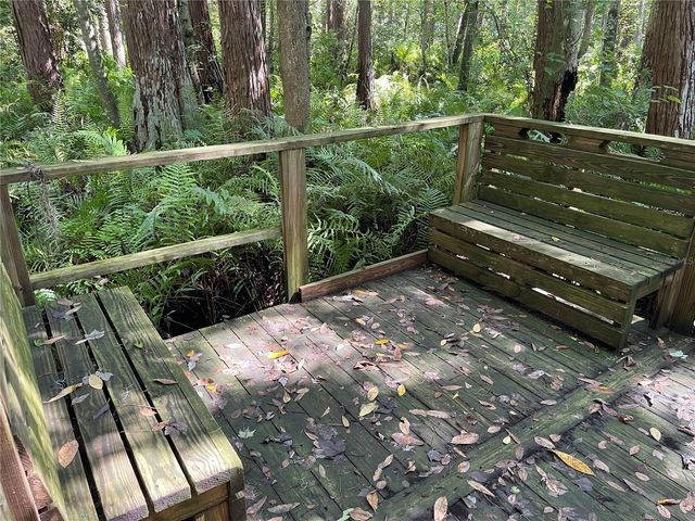 13001 ARBORVIEW PLACE, Tampa, FL 33618