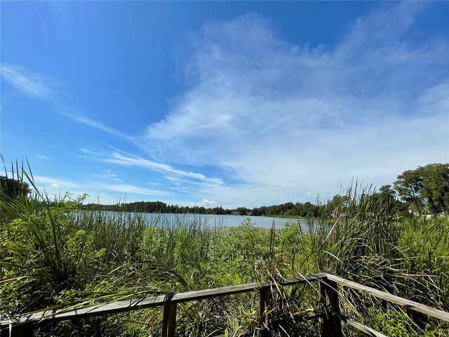13001 ARBORVIEW PLACE, Tampa, FL 33618