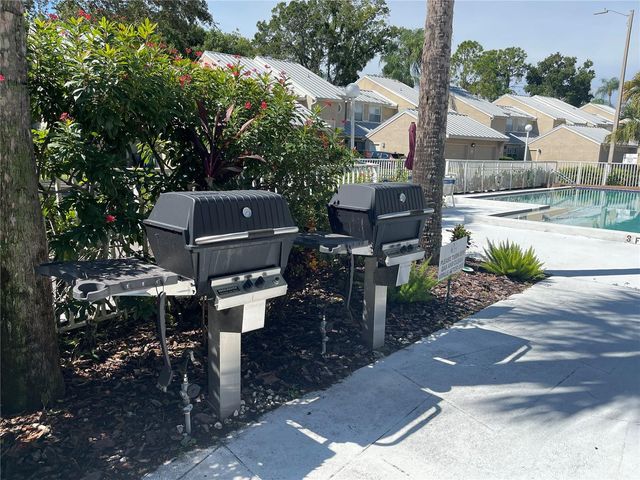 13001 ARBORVIEW PLACE, Tampa, FL 33618