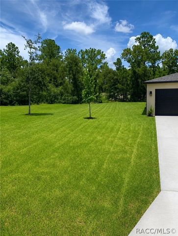 8827 N Vienna Drive, Dunnellon, FL 34433