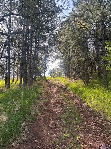 6521 OTHER, Spearfish, SD 57783