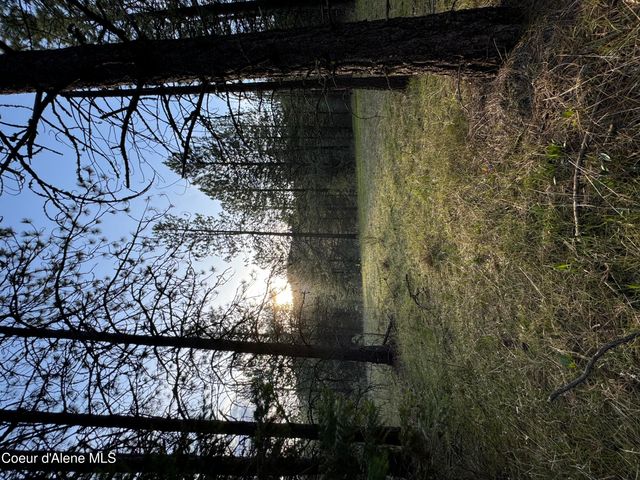 NKA(Lot 3) Baby Cougar Lane, Coeur D'alene, ID 83815