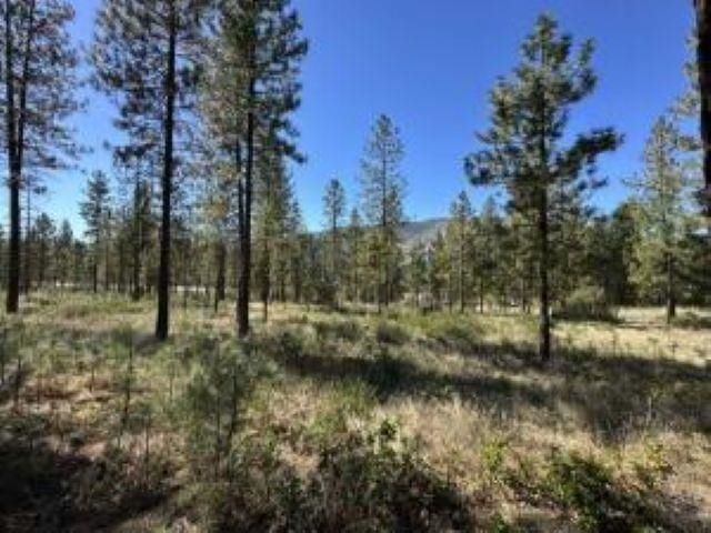 1176 FUMI Cir, Kettle Falls, WA 99141 property photo