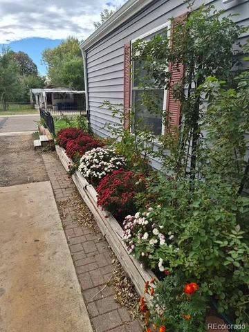 308 Elm Street, Lochbuie, CO 80603