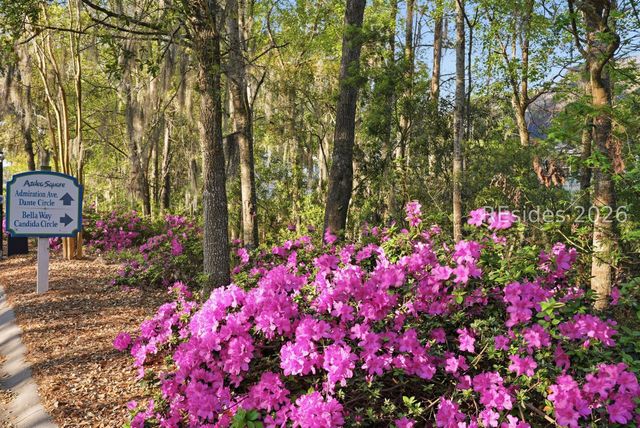 387 Dante Cir, Beaufort, SC 29906