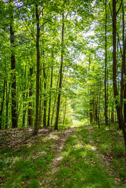 1982 Beebe Hill Road Elyse Harney Real Estate