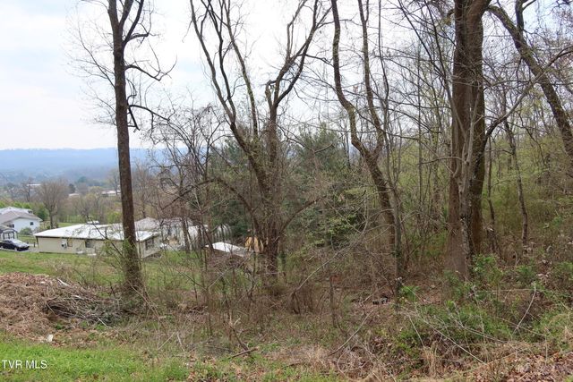 410 Crystal View Street, Kingsport, TN 37660