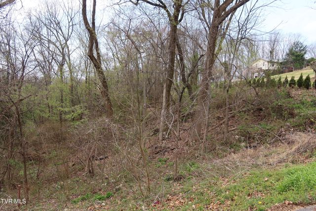 410 Crystal View Street, Kingsport, TN 37660