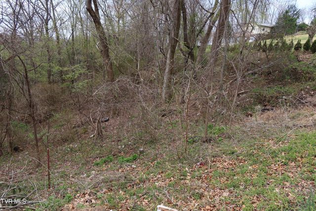 410 Crystal View Street, Kingsport, TN 37660