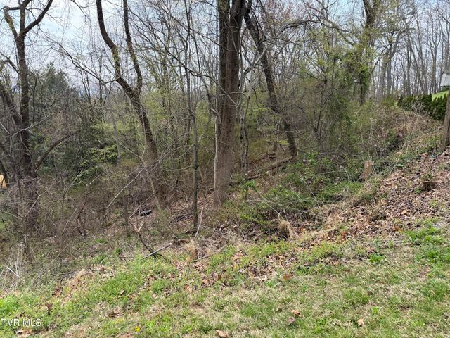 410 Crystal View Street, Kingsport, TN 37660