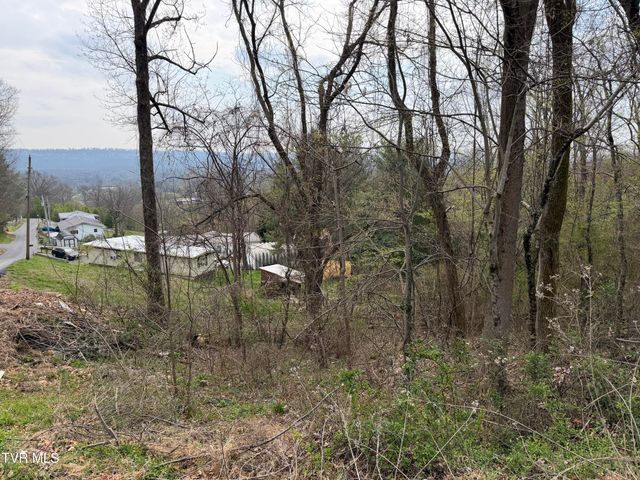 410 Crystal View Street, Kingsport, TN 37660