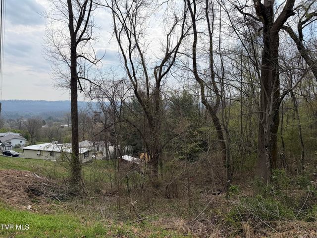 410 Crystal View Street, Kingsport, TN 37660
