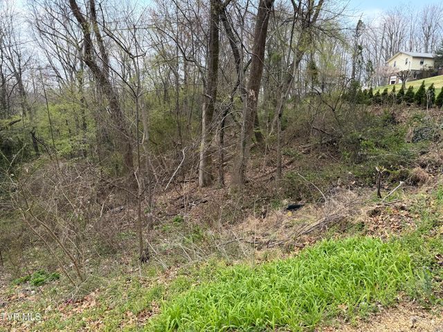 410 Crystal View Street, Kingsport, TN 37660