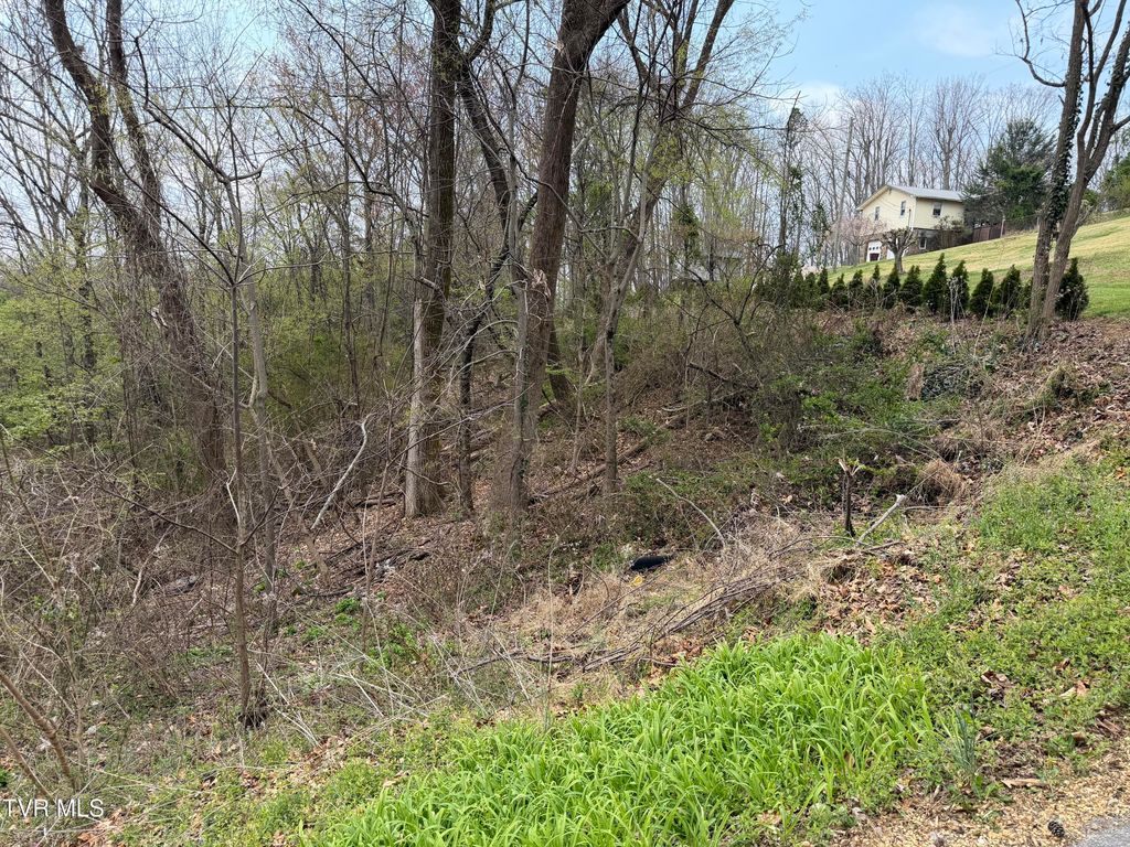 410 Crystal View Street, Kingsport, TN 37660