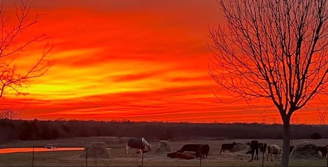 4410 Fm 118, Greenville, TX 75401