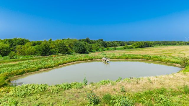 4410 Fm 118, Greenville, TX 75401