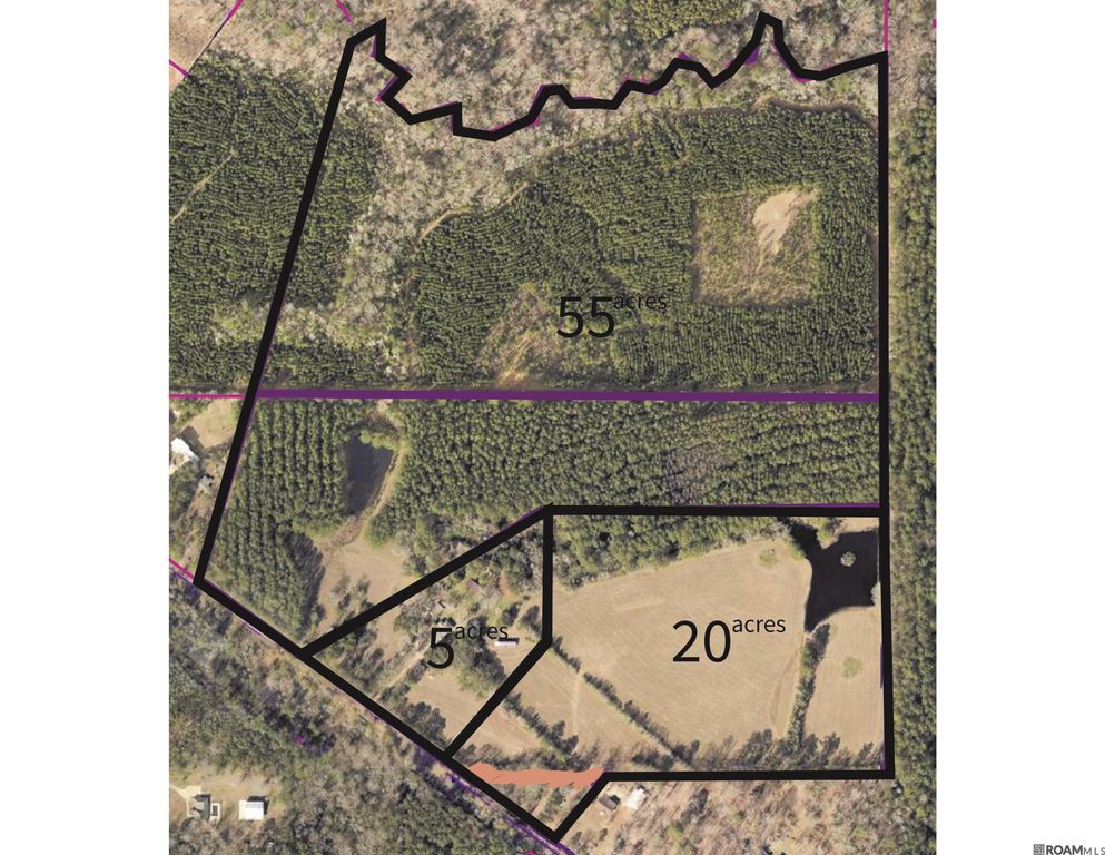 TBD 1 La Hwy 63, Clinton, LA 70722