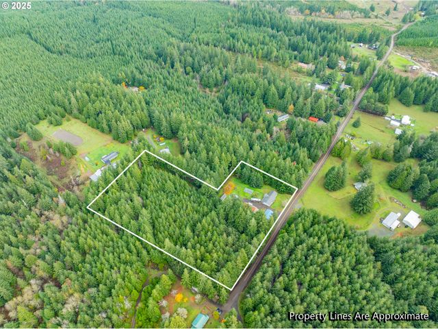 93521 PLEASANT VALLEY Ln, Myrtle Point, OR 97458