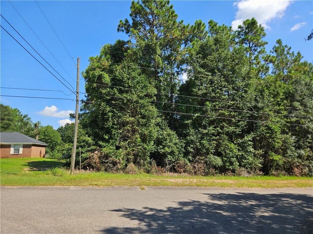 0 Richard Lane, Eight Mile, AL 36613 — photo 2