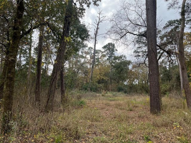 0 TBD Cripple Creek Dr, Pinehurst, TX 77362