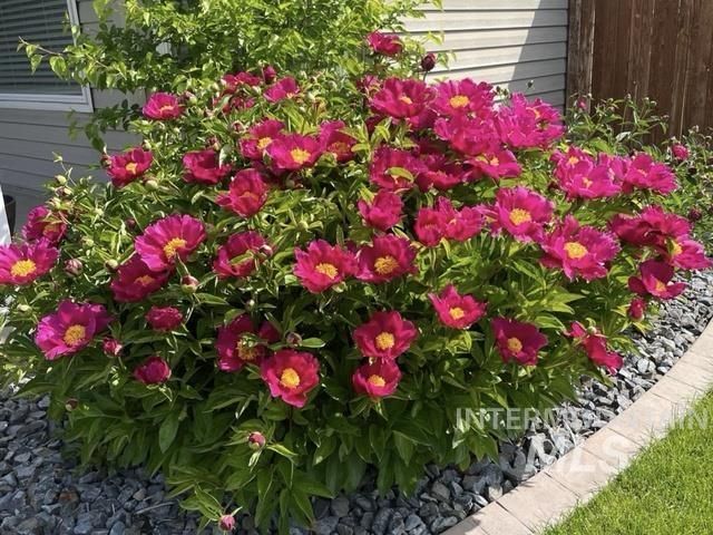 3816 Ringneck Dr, Nampa, ID 83686