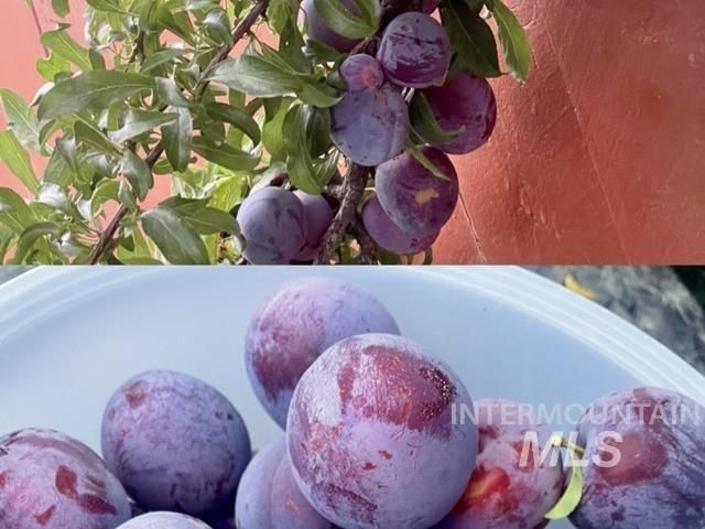 3816 Ringneck Dr, Nampa, ID 83686