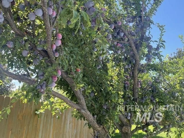 3816 Ringneck Dr, Nampa, ID 83686