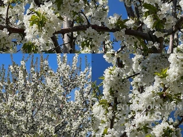 3816 Ringneck Dr, Nampa, ID 83686