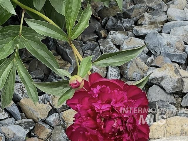 3816 Ringneck Dr, Nampa, ID 83686