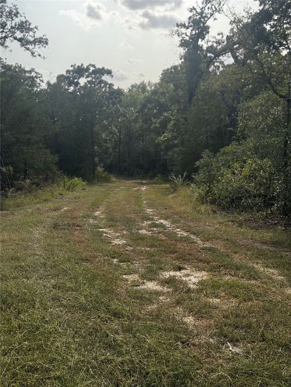 1178 Pin Oak Road, Franklin, TX 77856 — exterior