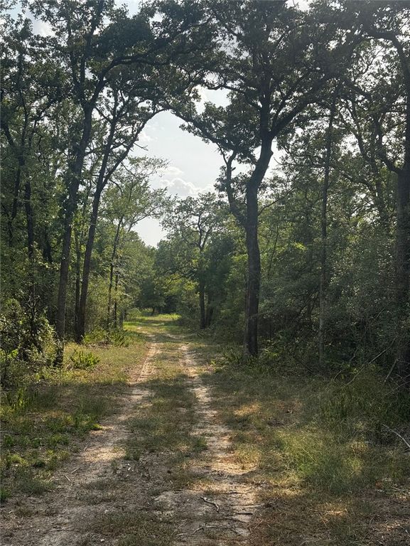 1178 Pin Oak Road, Franklin, TX 77856 — photo 2