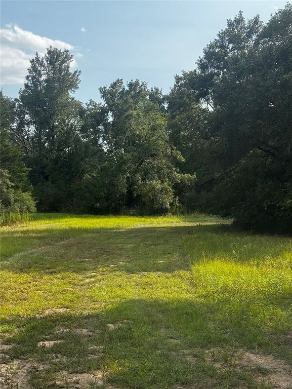1178 Pin Oak Road, Franklin, TX 77856 — photo 3