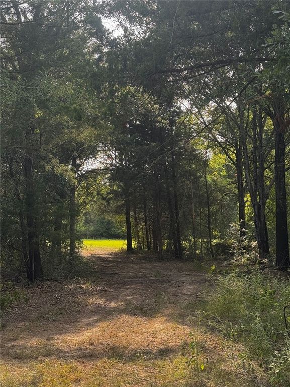 1178 Pin Oak Road, Franklin, TX 77856 — photo 4