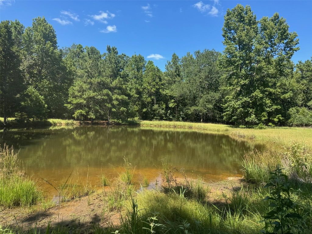 390 Pr 5200, Kennard, TX 75847