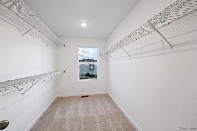 932 Steppe Lane, Windsor, CO 80550