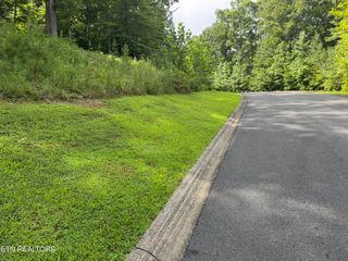 Cove Springs Drive, Dandridge, TN 37725