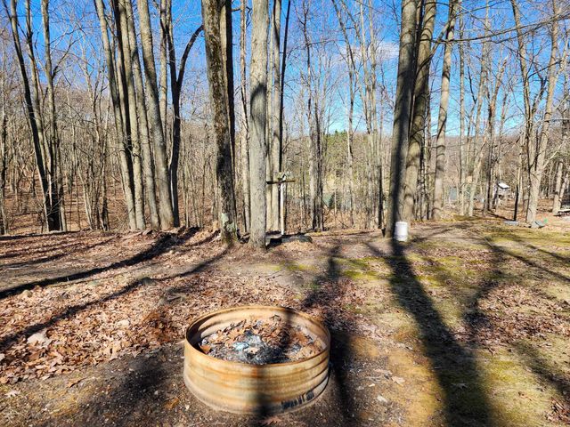 5206 Wolf Lane, Farwell, MI 48622